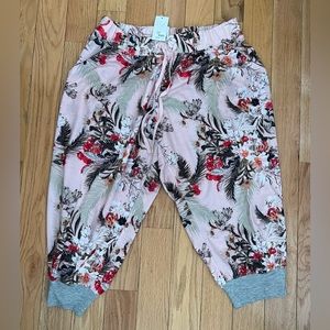 NWT Lane Bryant/Cacique Shorts Size 14/16